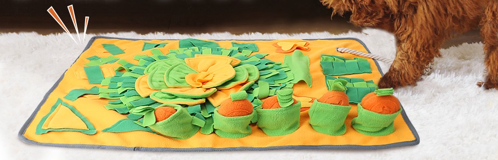 pc-home-top-banner-image